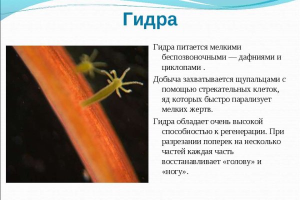Кракен даркнет маркет ссылка тор