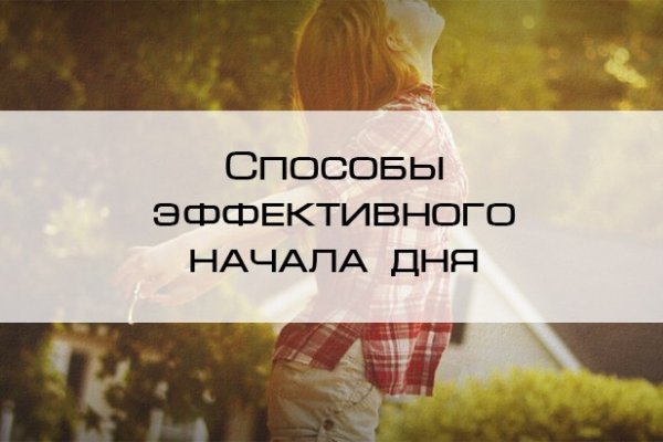 Как найти kraken