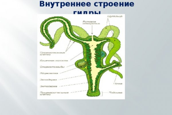 Кракен торговая kr2web in