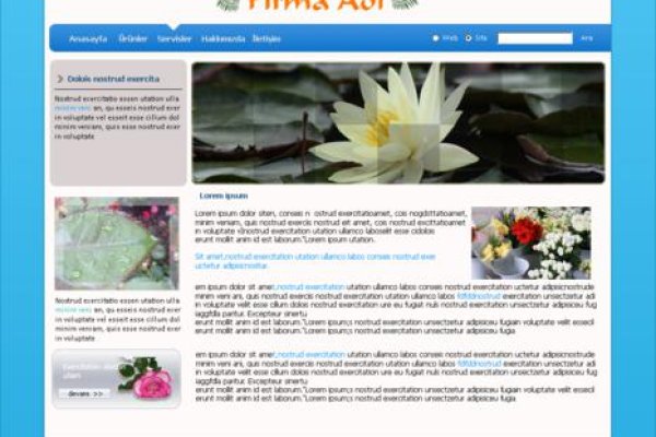 Прямая ссылка на кракен